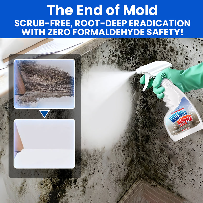 PureGuard™ Anti-Mold Spray — Erase Stubborn Mold & Breathe Easy with Fresh, Radiant Walls