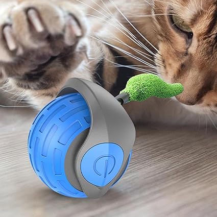 🐱 THE ULTIMATE INTERACTIVE TOY FOR CURIOUS CATS! 🐱