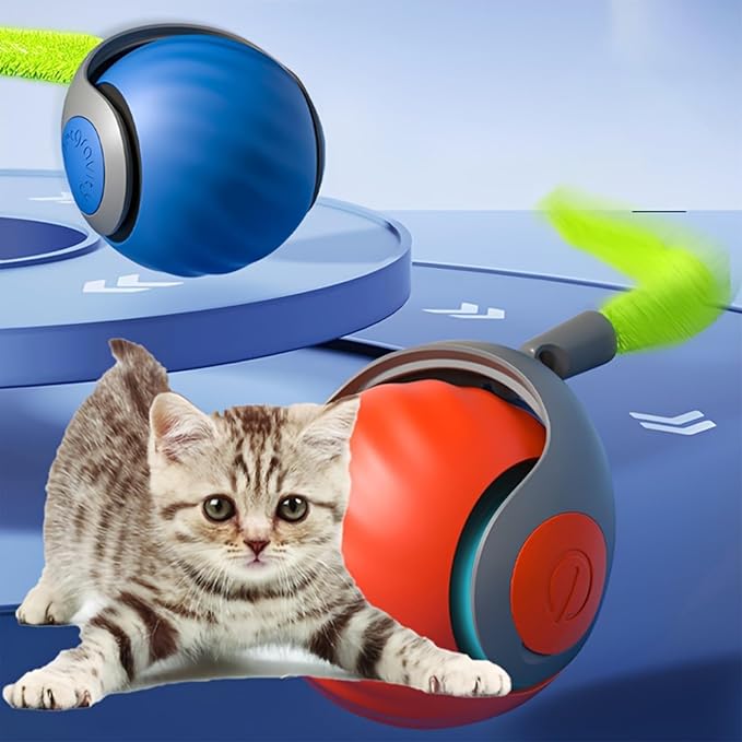 🐱 THE ULTIMATE INTERACTIVE TOY FOR CURIOUS CATS! 🐱