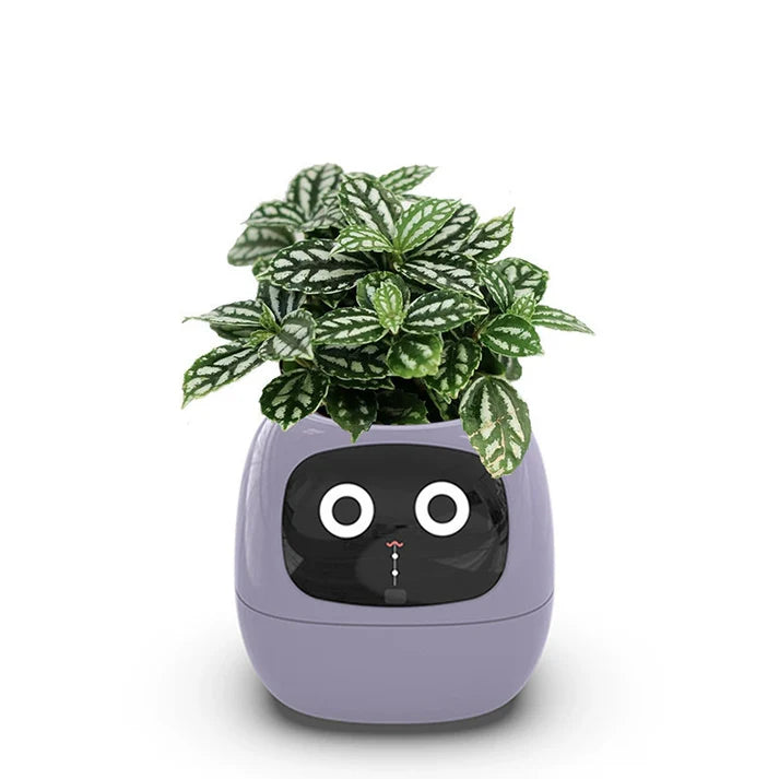 π± The Smart Planter That Brings Your Plants to Life! πΏβ¨