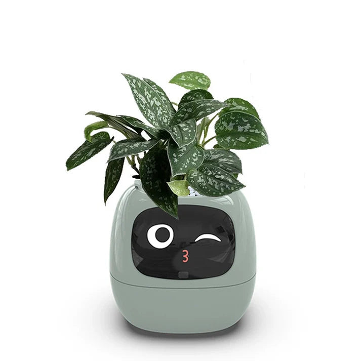 π± The Smart Planter That Brings Your Plants to Life! πΏβ¨