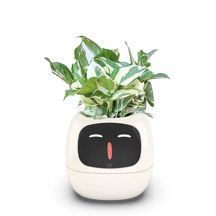 π± The Smart Planter That Brings Your Plants to Life! πΏβ¨
