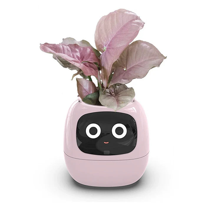π± The Smart Planter That Brings Your Plants to Life! πΏβ¨
