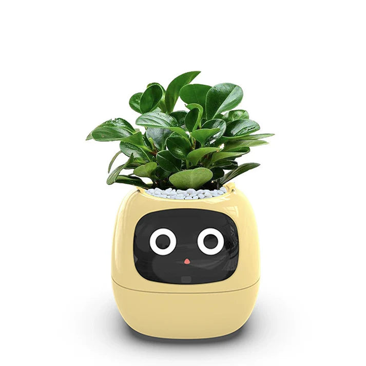 π± The Smart Planter That Brings Your Plants to Life! πΏβ¨