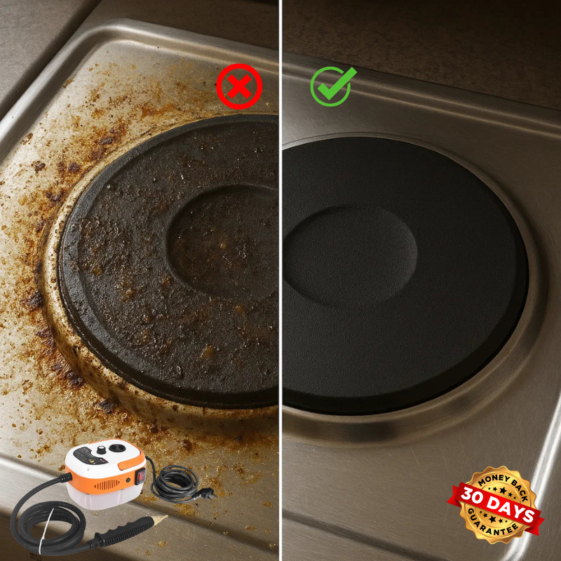 SteamClean™ 2500W High-Temperature 220V Household & Car Cleaning Machine