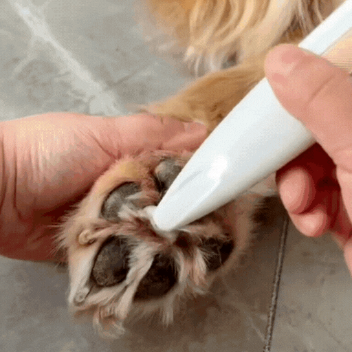 ๐พ LED Pet Paw Trimmer โ The Ultimate Grooming Tool for Your Furry Friend! ๐พ